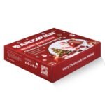 Christmas_Welding_Gift_Kit_for_Kids_7.jpg